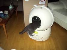 Litter Robot