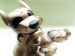 Robot dog 2024 2000